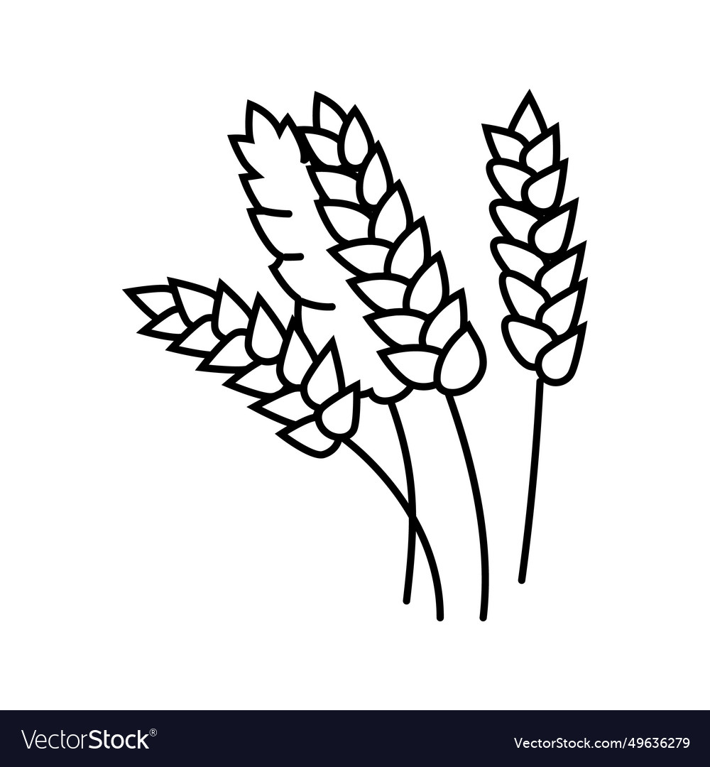 Wheat ears harvest yellow line icon