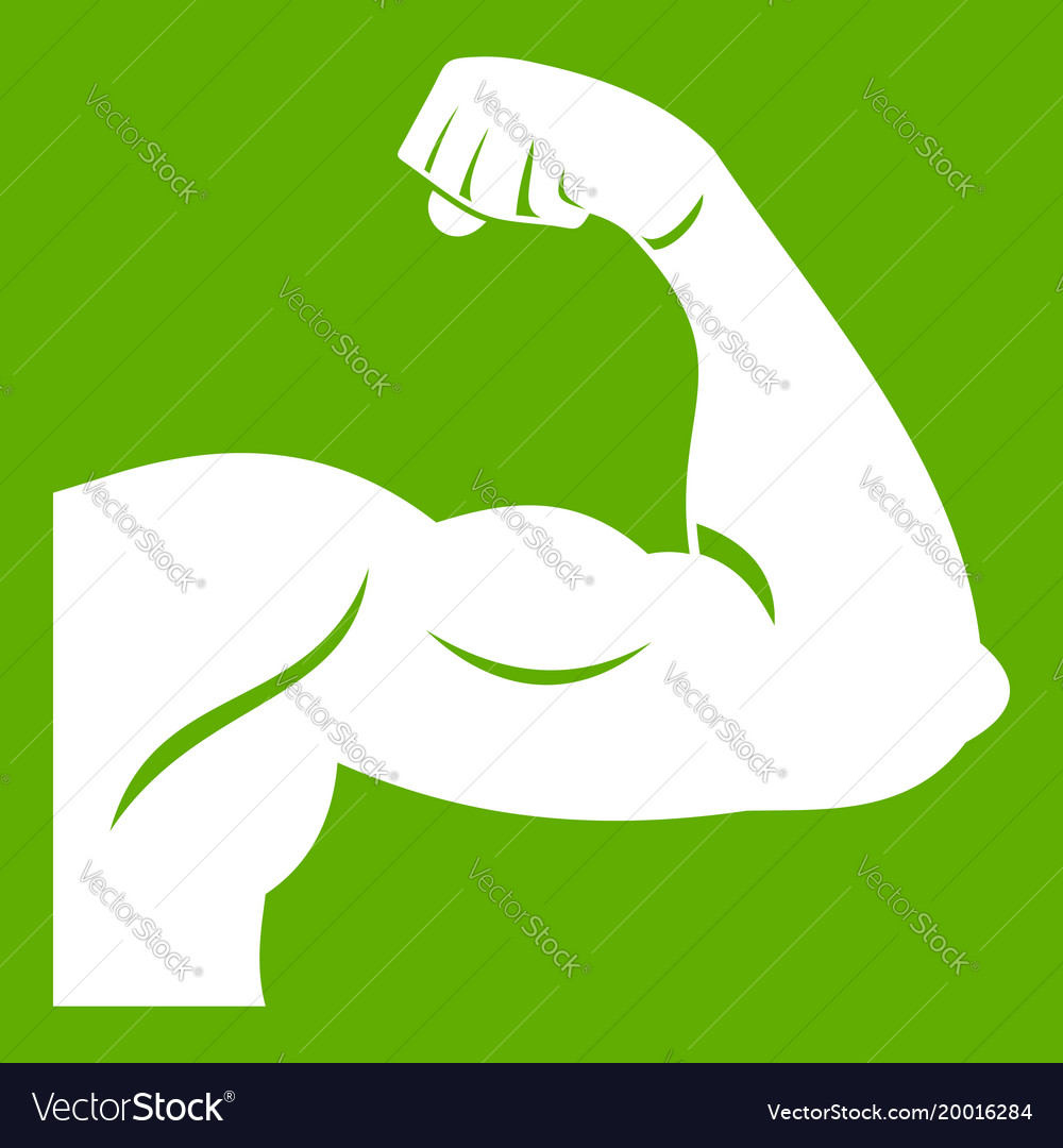 Biceps icon green Royalty Free Vector Image - VectorStock