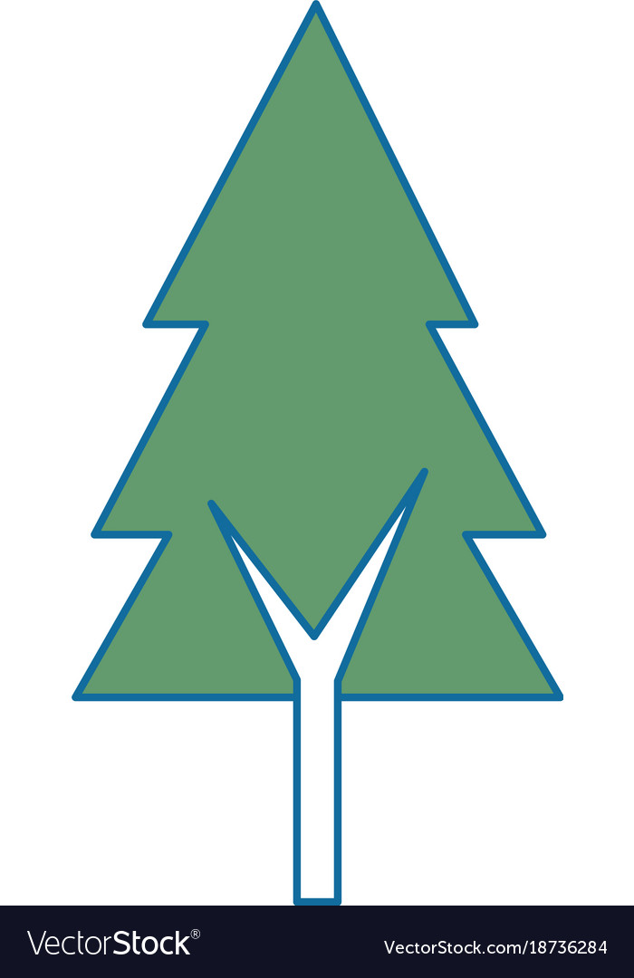 Pine tree isolated icon