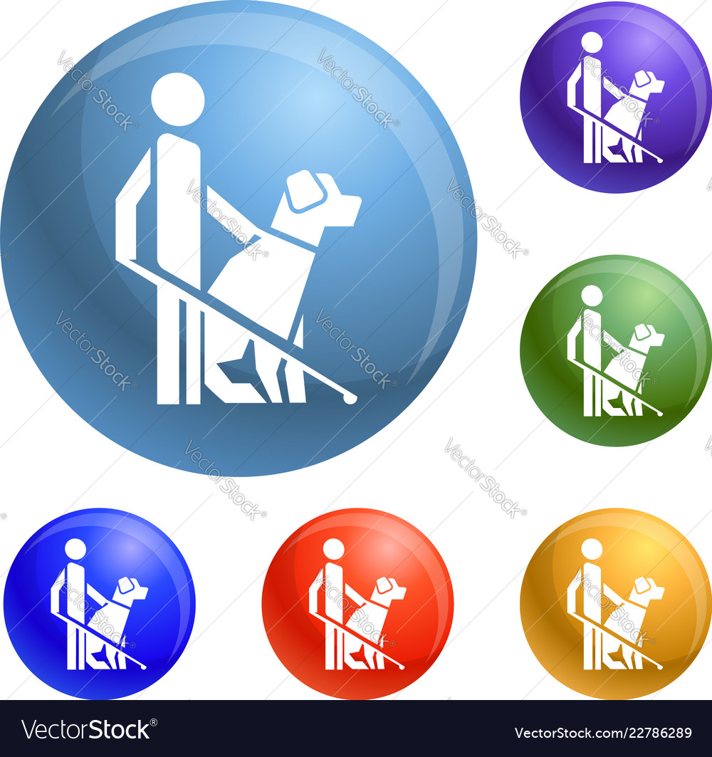 Man dog guide icons set Royalty Free Vector Image