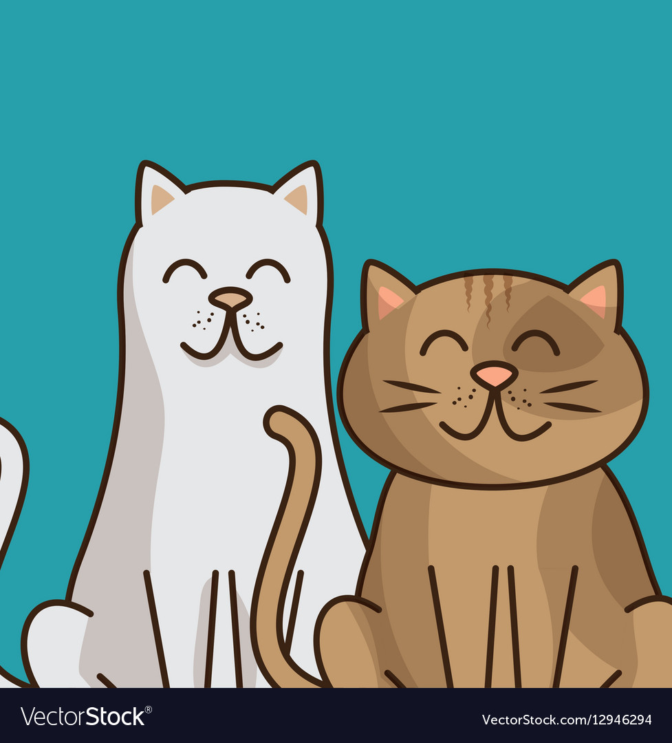 Cat pet shop icon