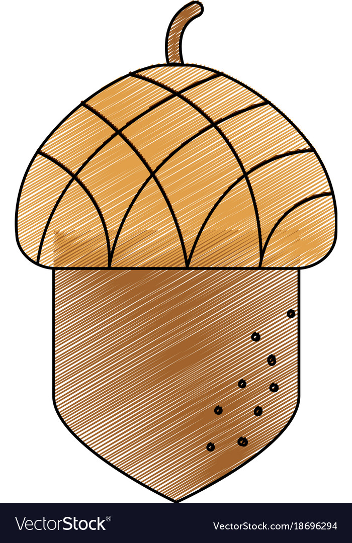 Isolated acorn design