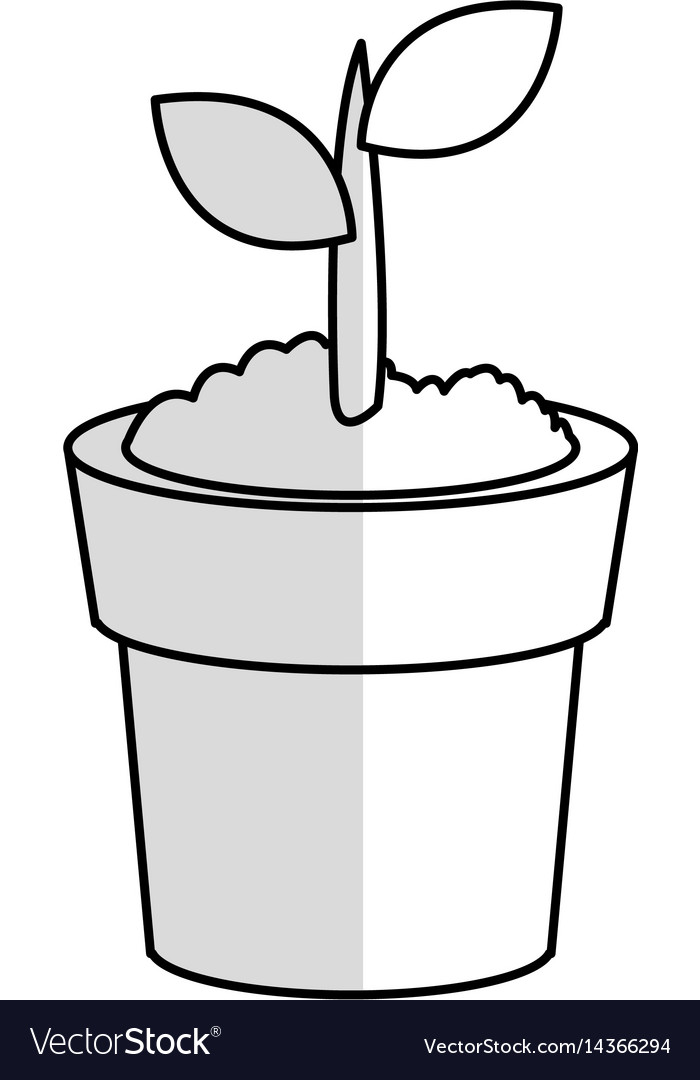 Plant in pot icon image Royalty Free Vector Image