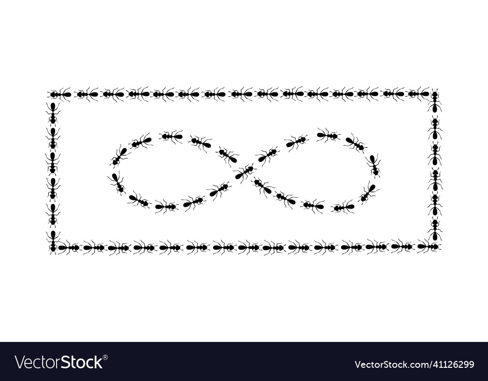 Ants path shaping infinity sign and square boder