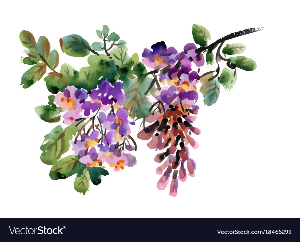 Hand drawn purple flowers isolated on white