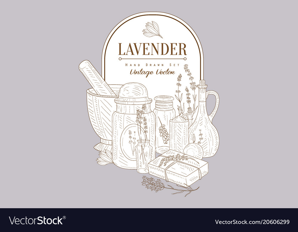 Lavender flowers herbal cosmetics set creative