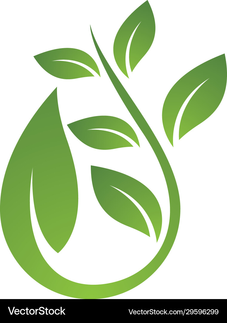 Leaf logo icon Royalty Free Vector Image - VectorStock
