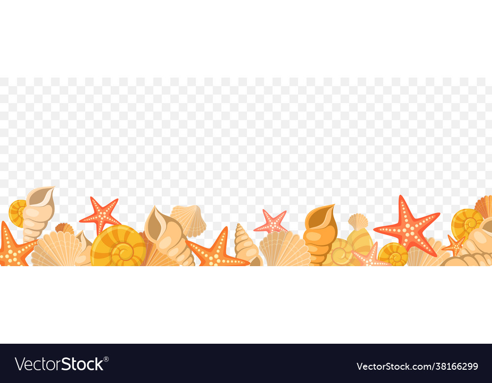 Summer beach shells border Royalty Free Vector Image