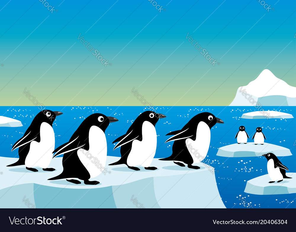 Cheerful penguins on an ice floe Royalty Free Vector Image Biology Diagrams