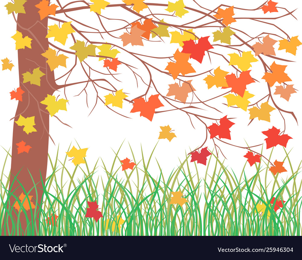 Tree and grass