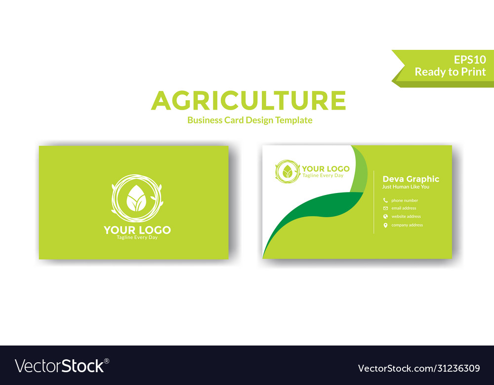 Green agriculture business card design template Vector Image