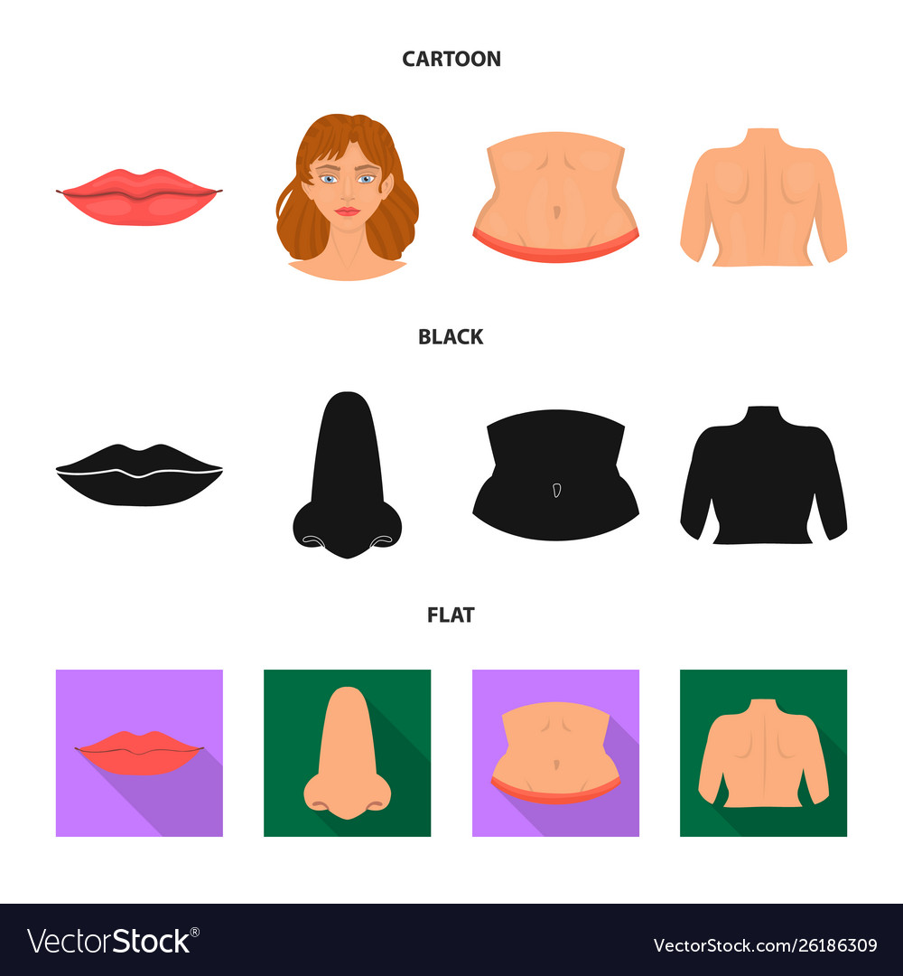 Isolated object body and part icon collection vector image Isolated object body and part icon collection