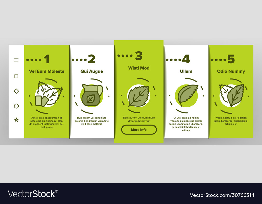 Mint refreshing leaf onboarding icons set vector image Mint refreshing leaf onboarding icons set