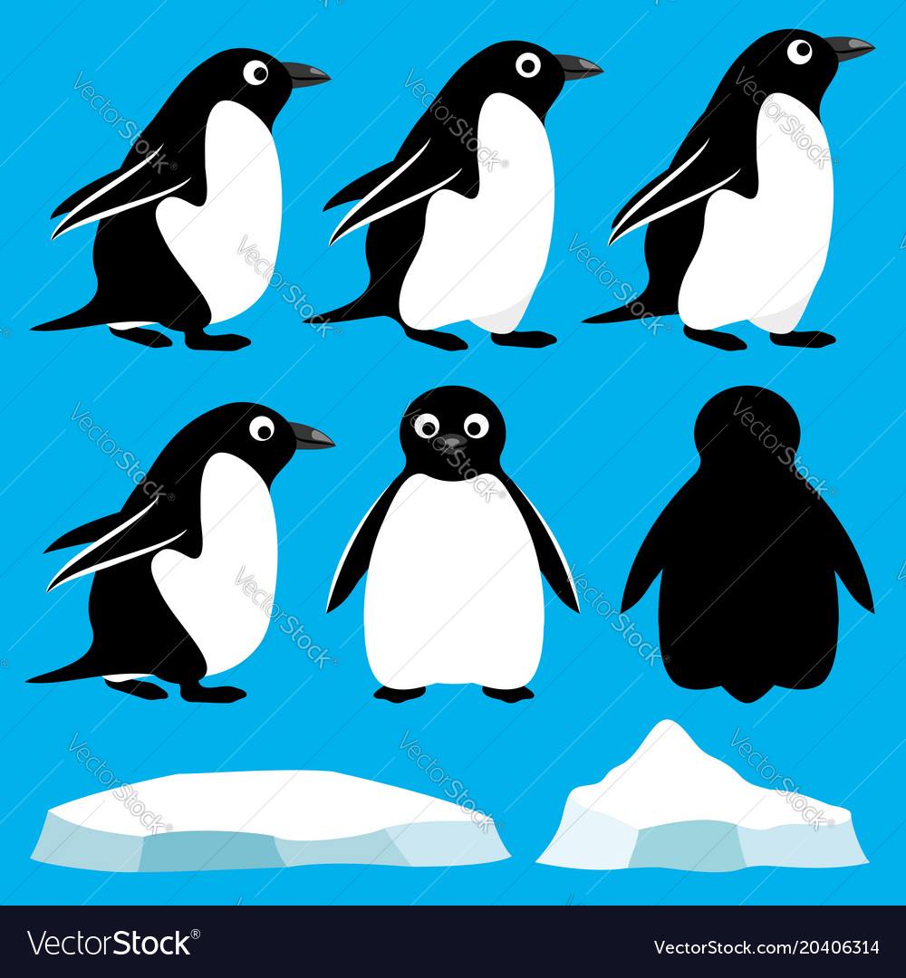 Set of penguins