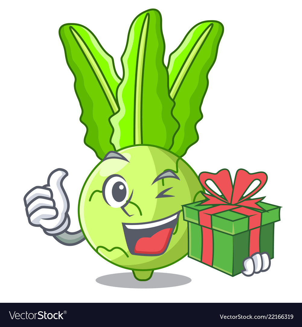 With gift cooking food fresh organic kohlrabi Vector Image