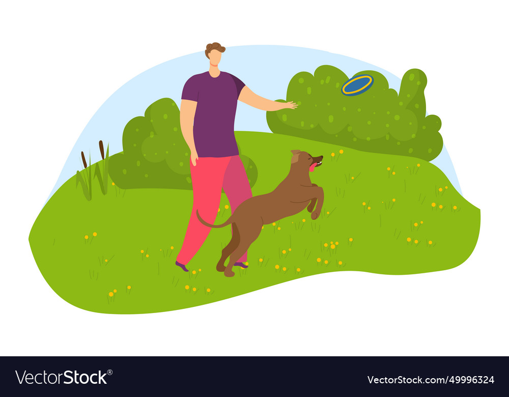 Man playing frisbee with dog in park sunny day