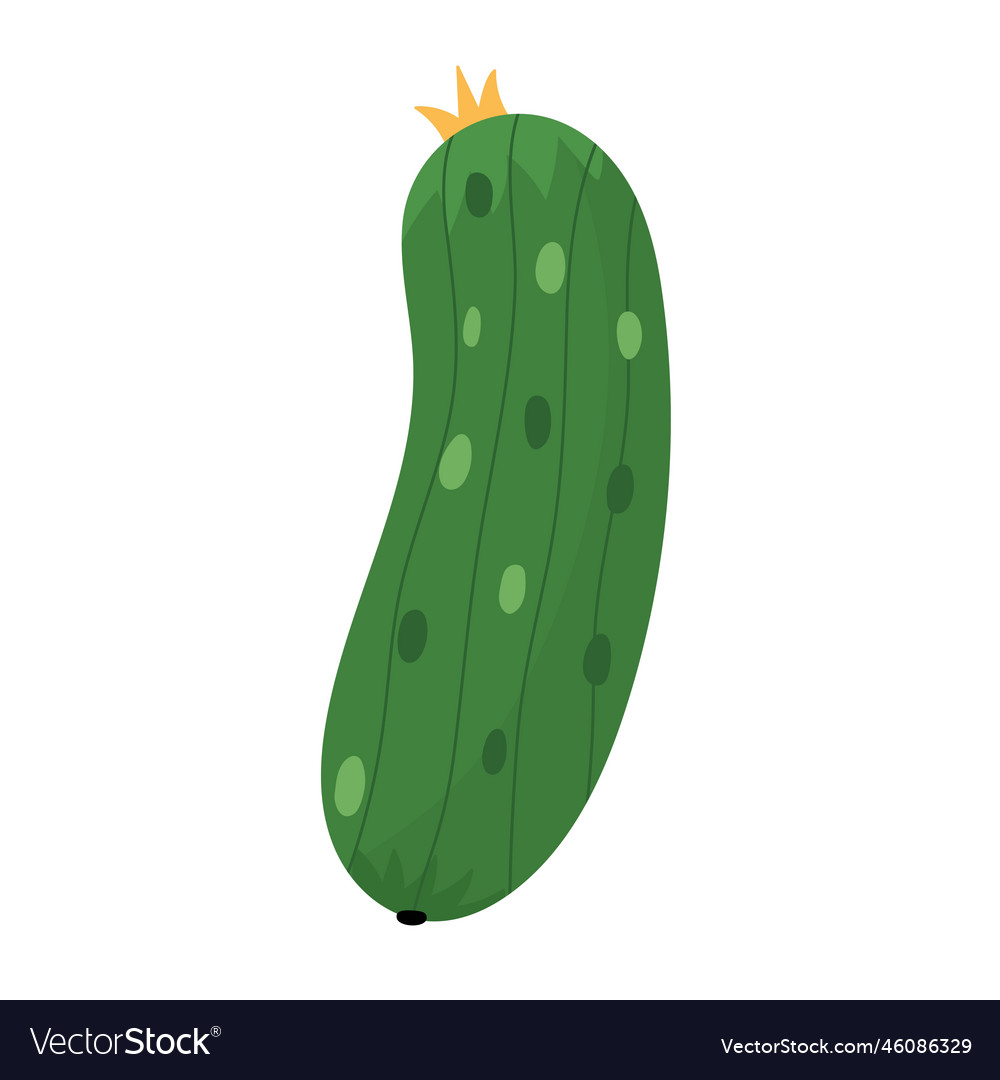 Green fresh cucumber in cartoon style farm Vector Image