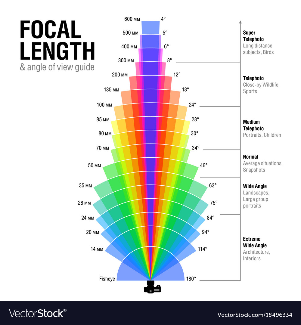 Focal length and angle of view guide Royalty Free Vector