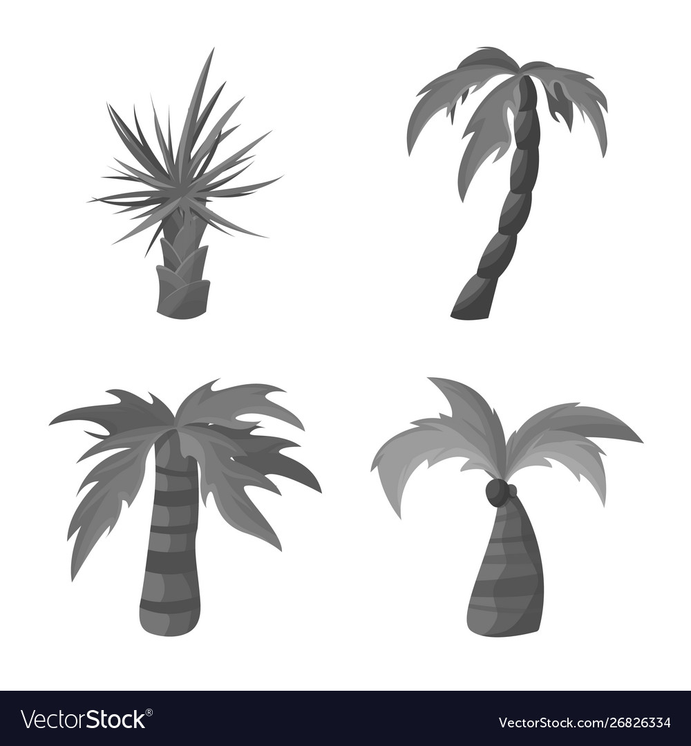 Isolated object jungle and botanical sign set vector image Isolated object jungle and botanical sign set