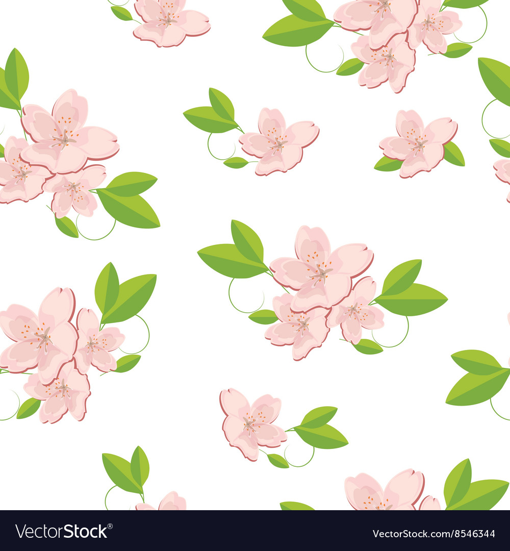Sakura Blossom Seamless Pattern