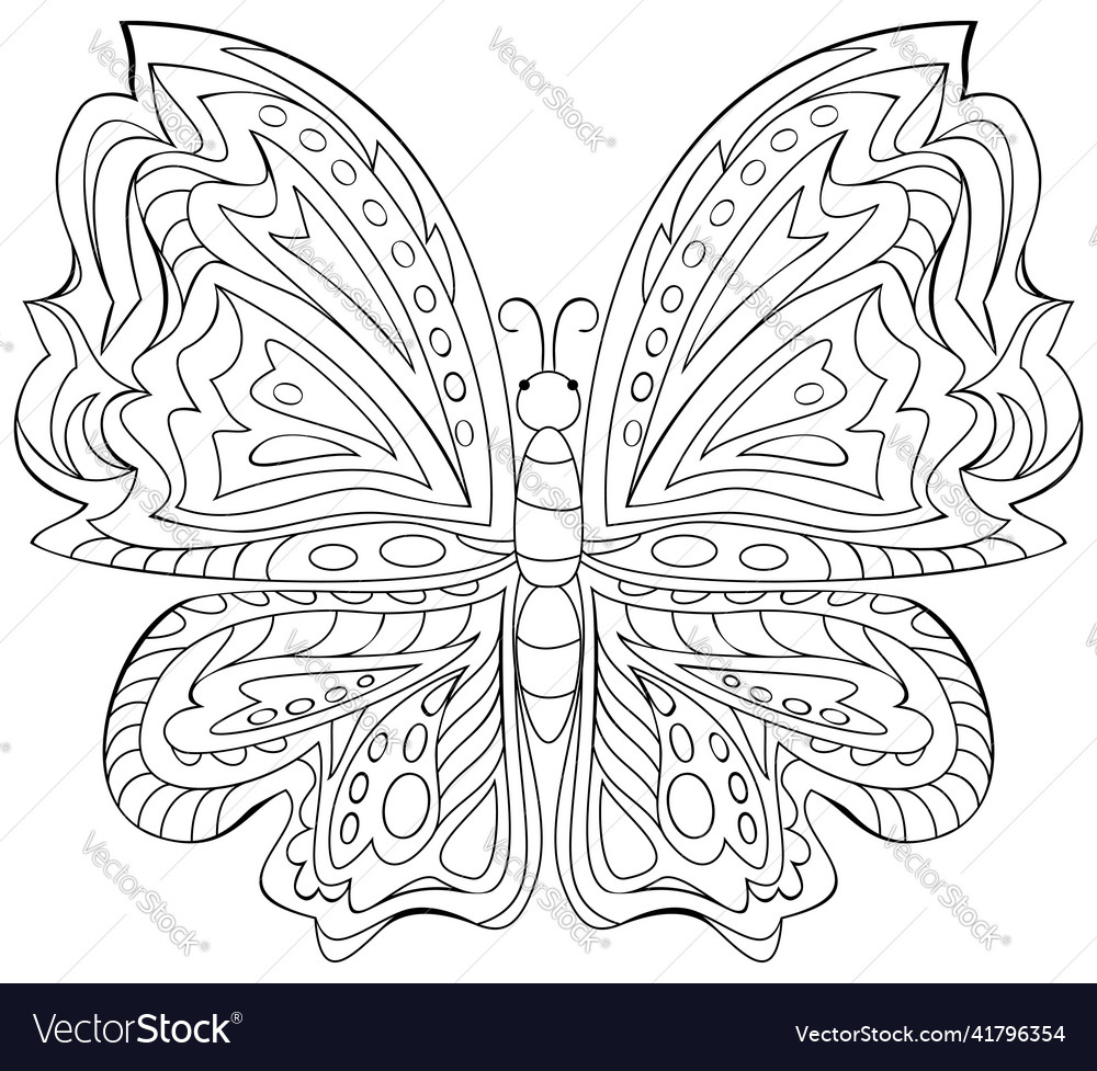 Black and white of butterfly for coloring Vector Image