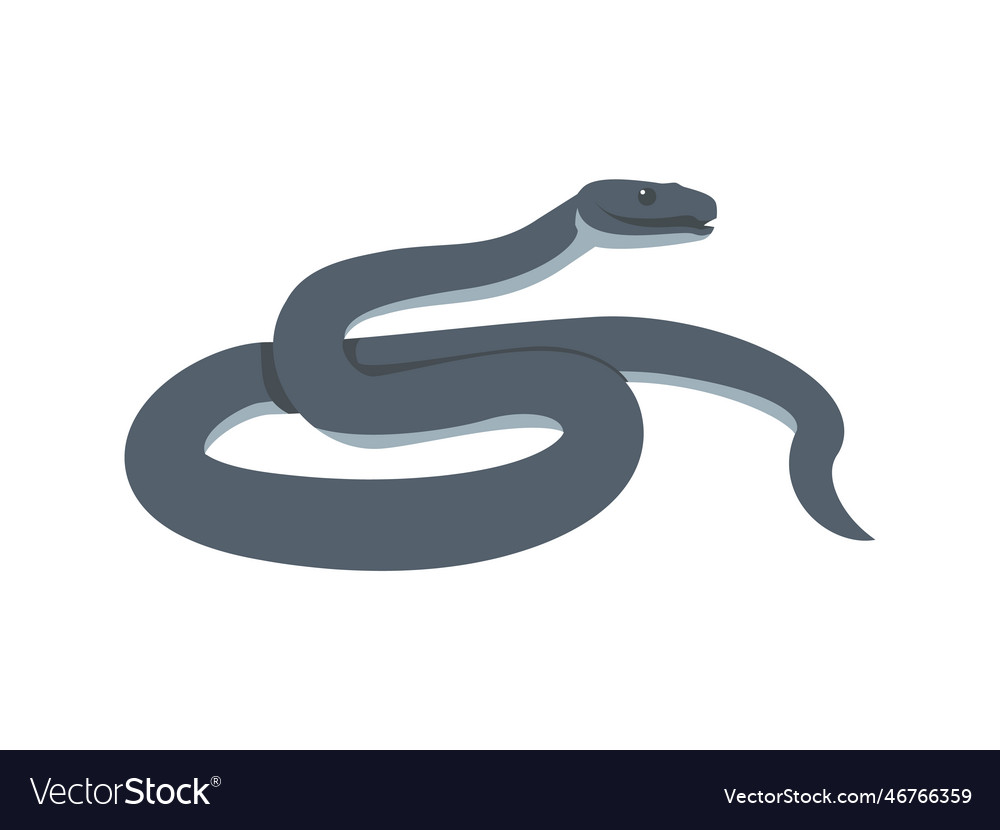 Dangerous black mamba snake flat