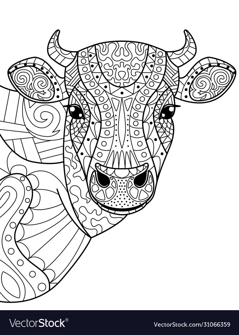 Head cow coloring book for adults