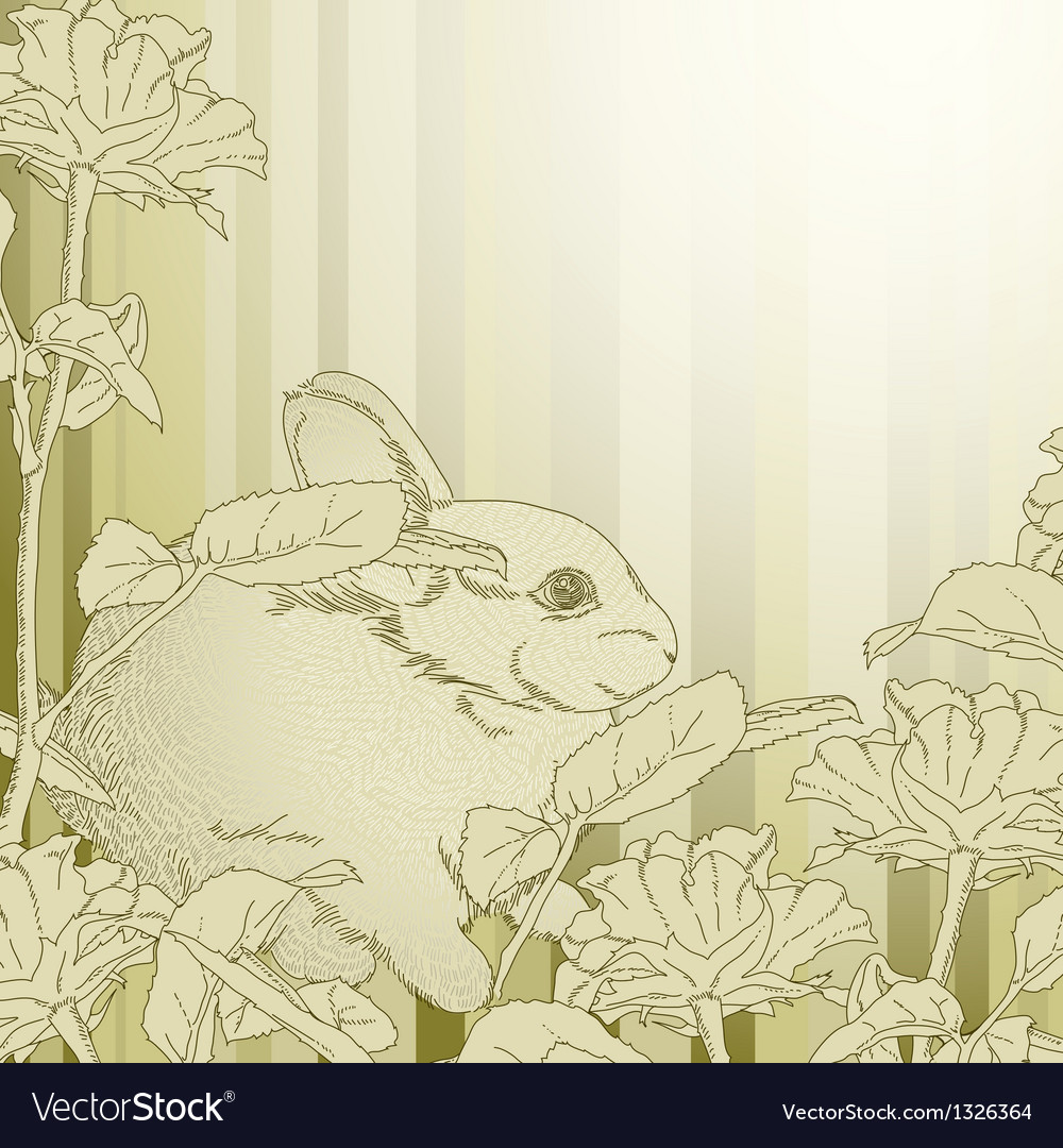 Background with rabbit