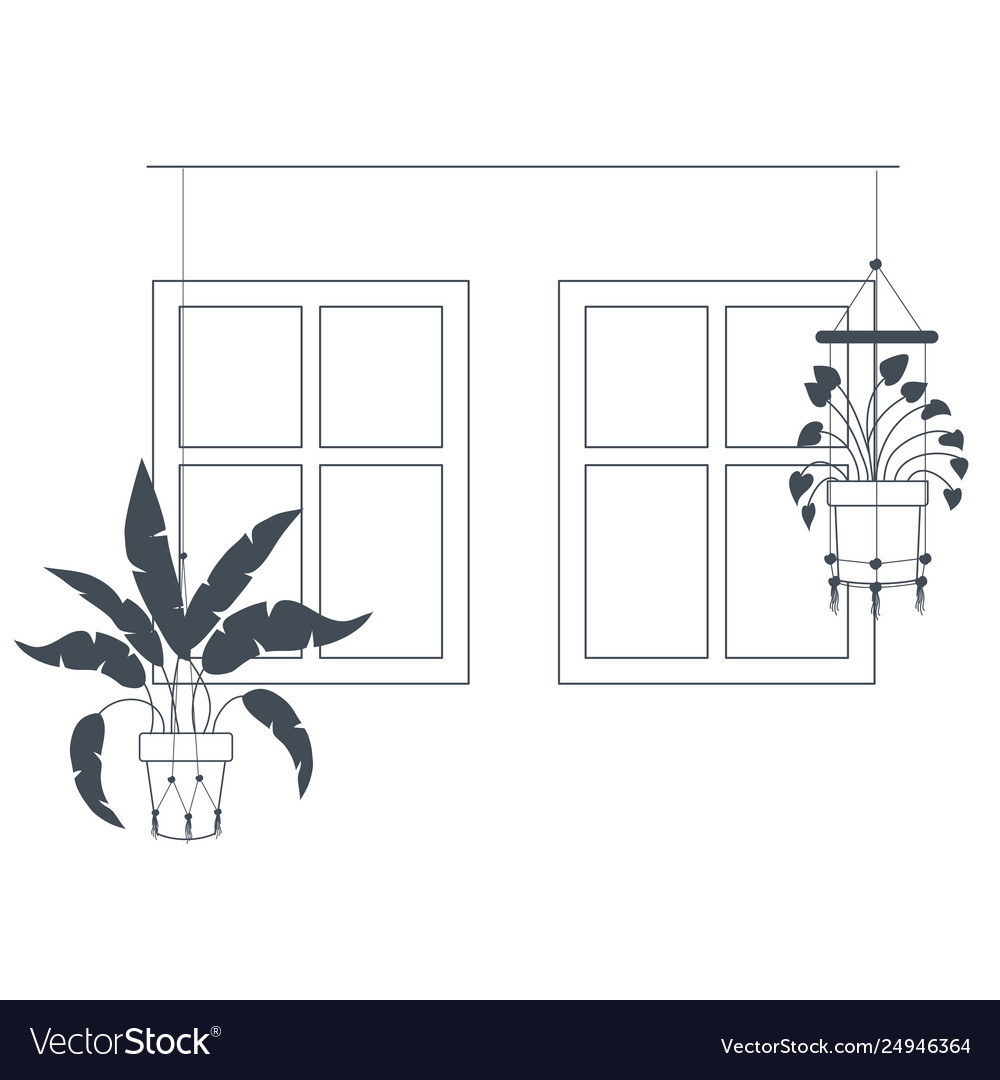 Houseplants on macrame hangers icon