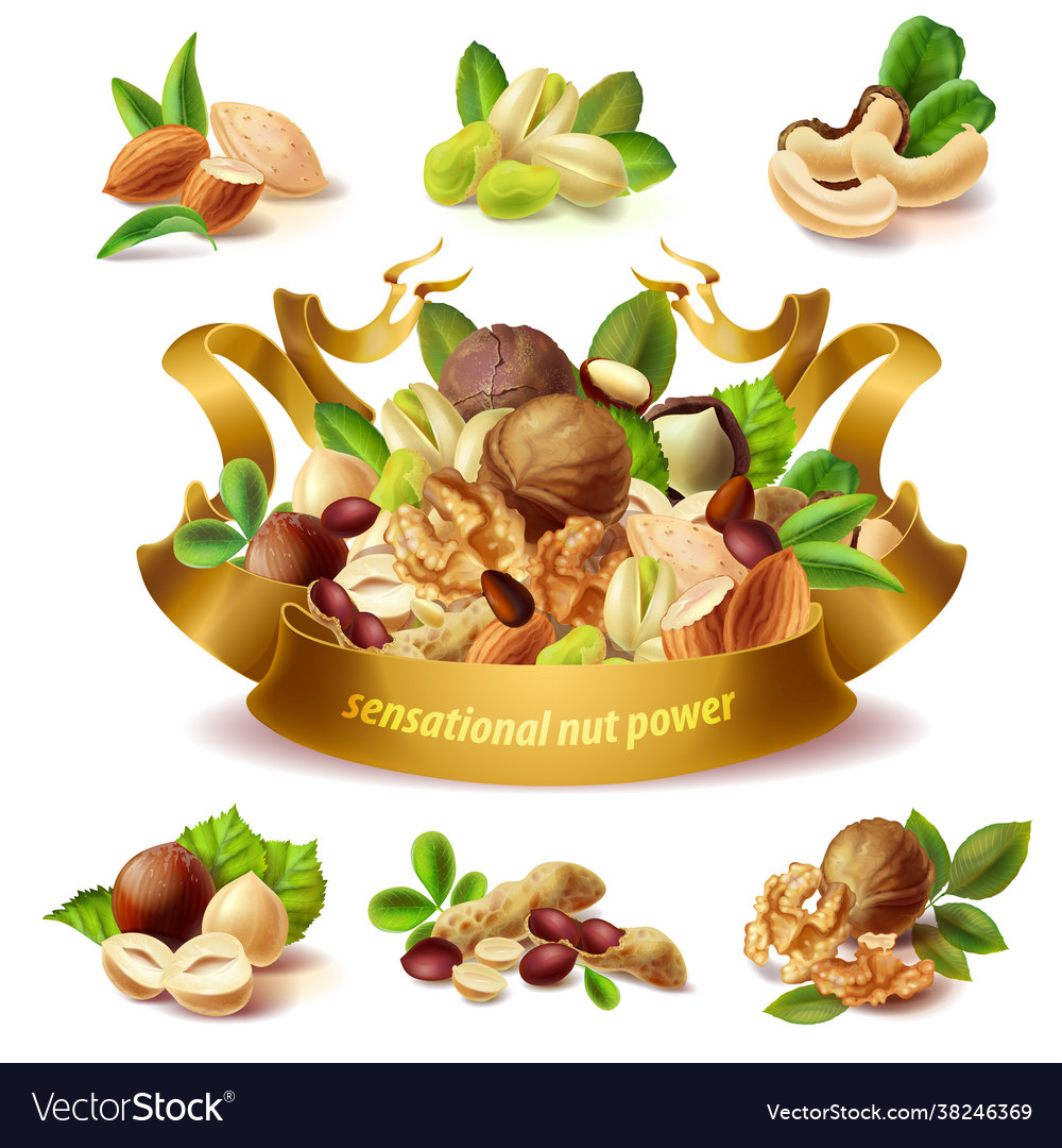 3d realistic set different nuts