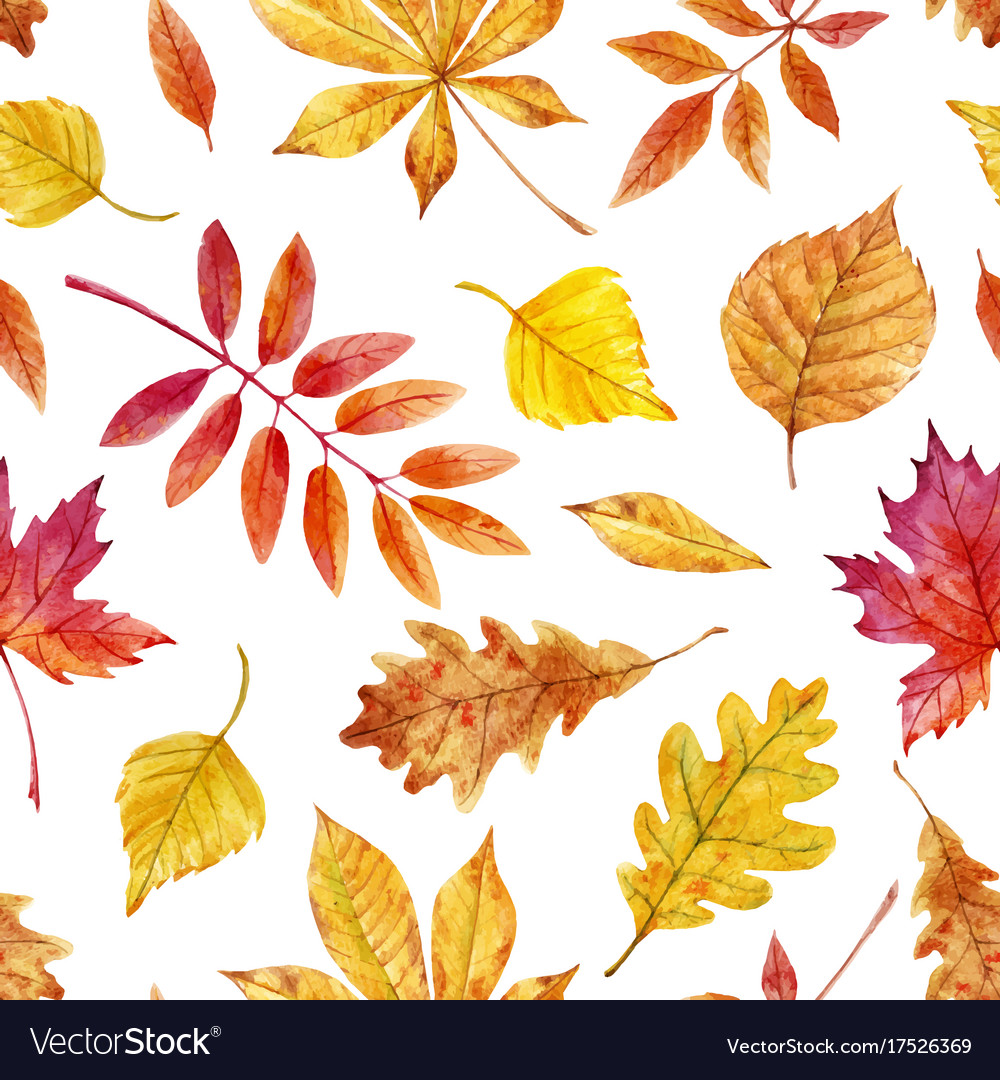 watercolor autumn leaves pattern