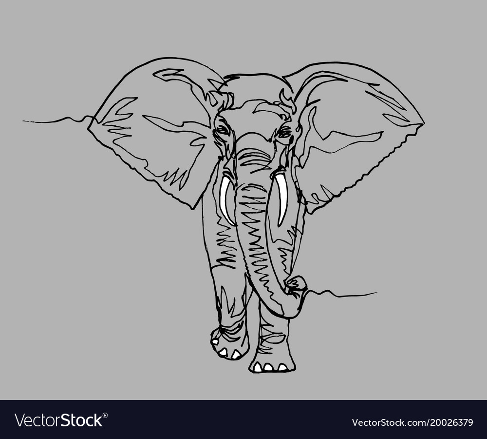 Elephant africa continuous line