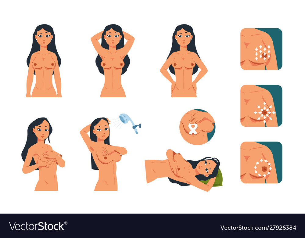 Breast exam young cartoon woman character doing Vector Image Breast exam young cartoon woman character doing Vector Image