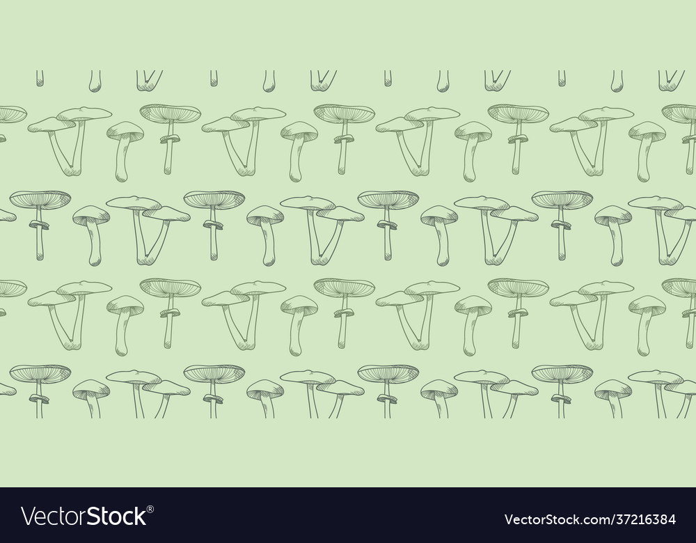 Mushroom pattern background botanical