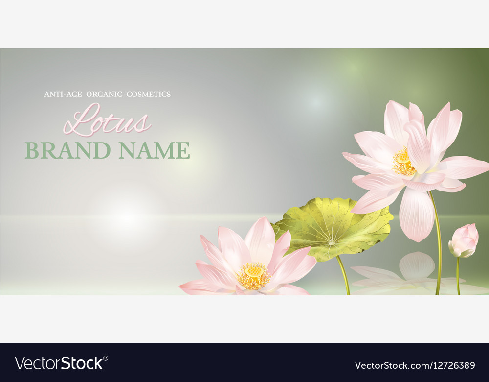 Lotus flower banner Royalty Free Vector Image - VectorStock