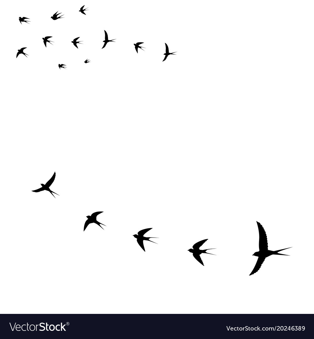 Seagull Icons - Birds in Flight