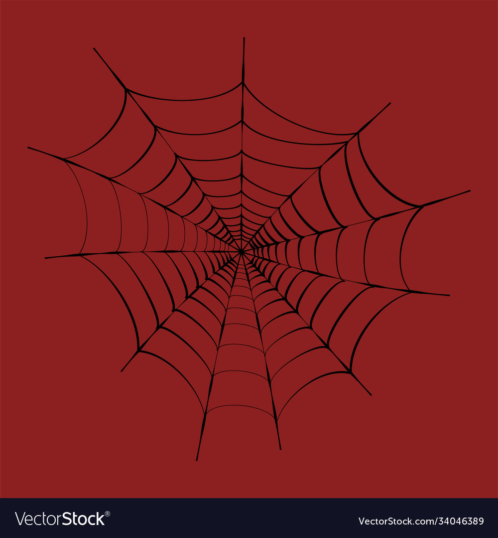 Spider web design Royalty Free Vector Image - VectorStock