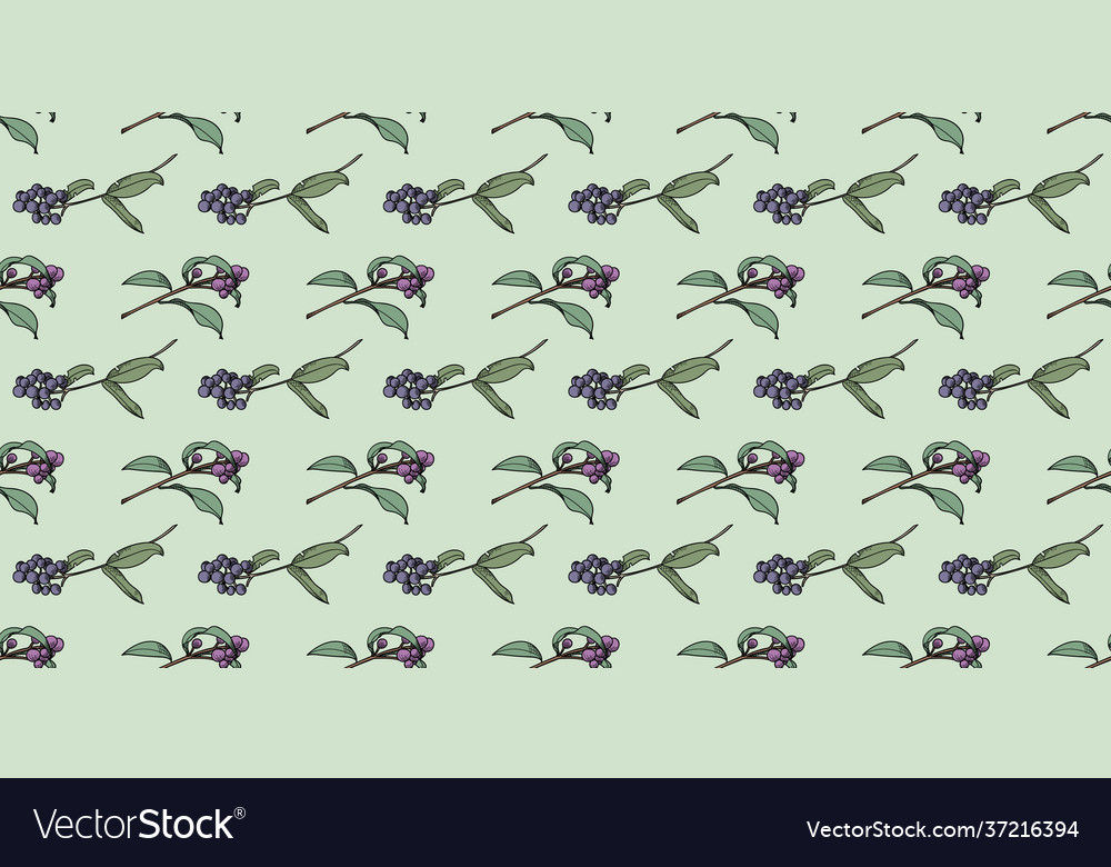 Berry botanical pattern background