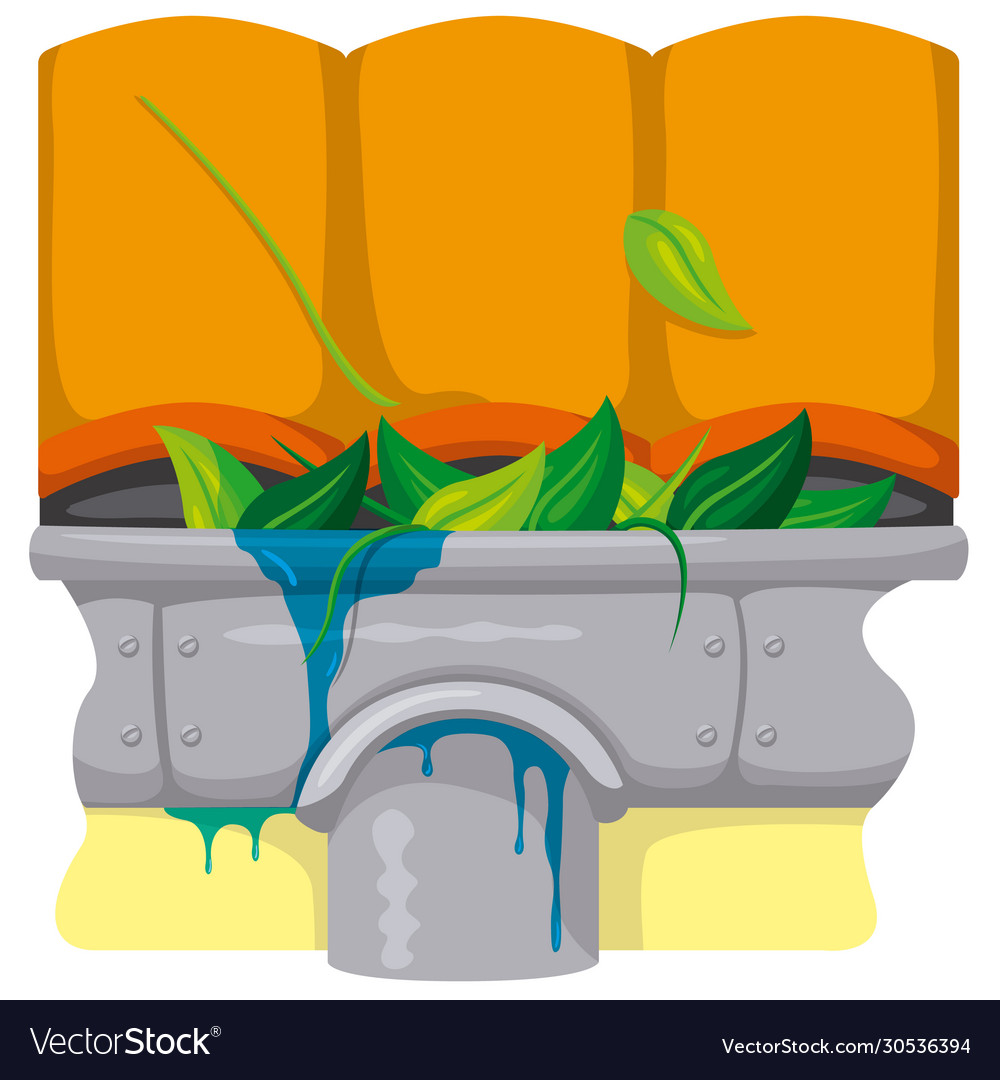 Clogged Drainage System - Water Leakage