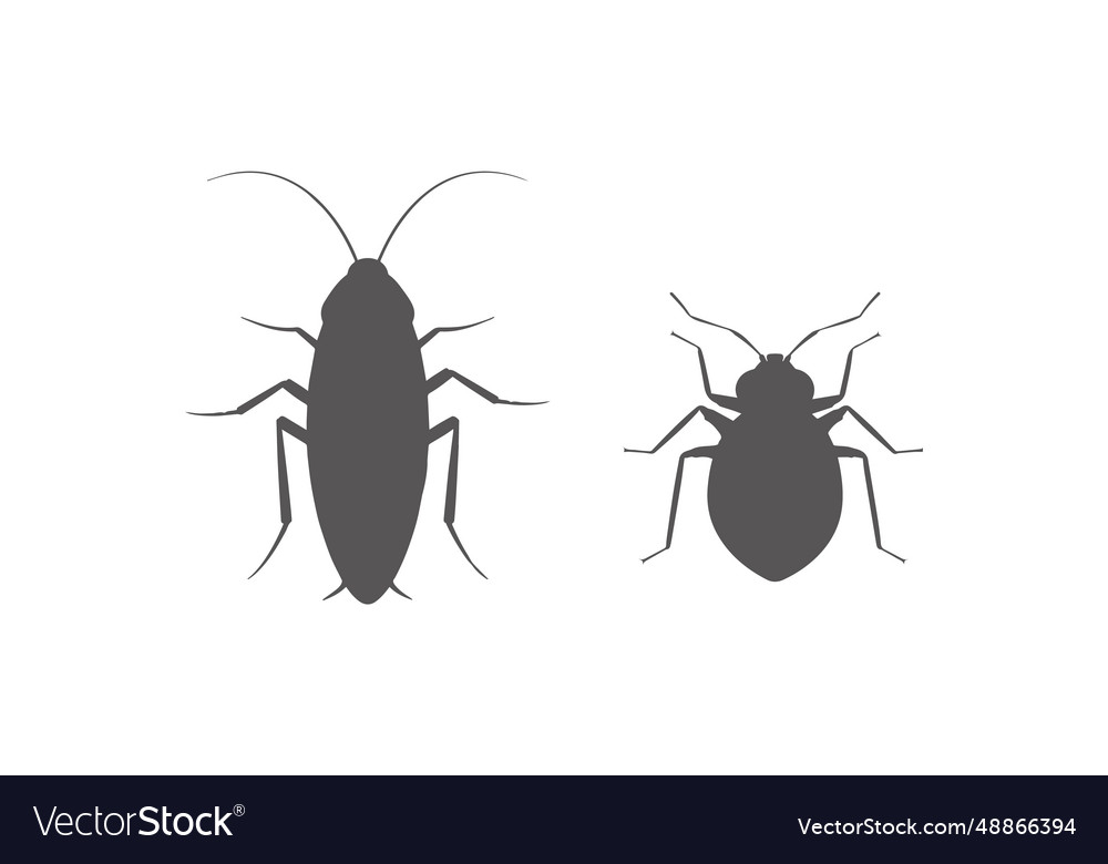 Cockroach bug and bedbug vector image Cockroach bug and bedbug