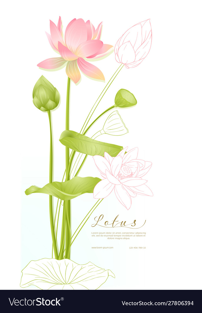 Lotus flowers template for wedding invitation