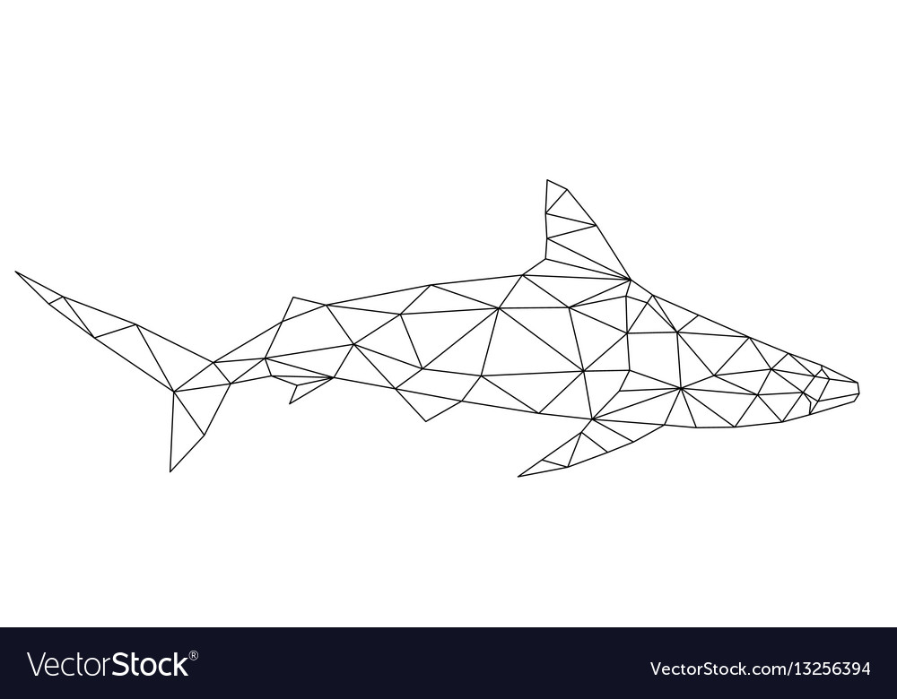 Polygon shark Royalty Free Vector Image - VectorStock