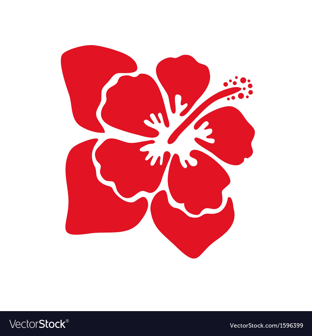 Hibiscus flower Royalty Free Vector Image - VectorStock
