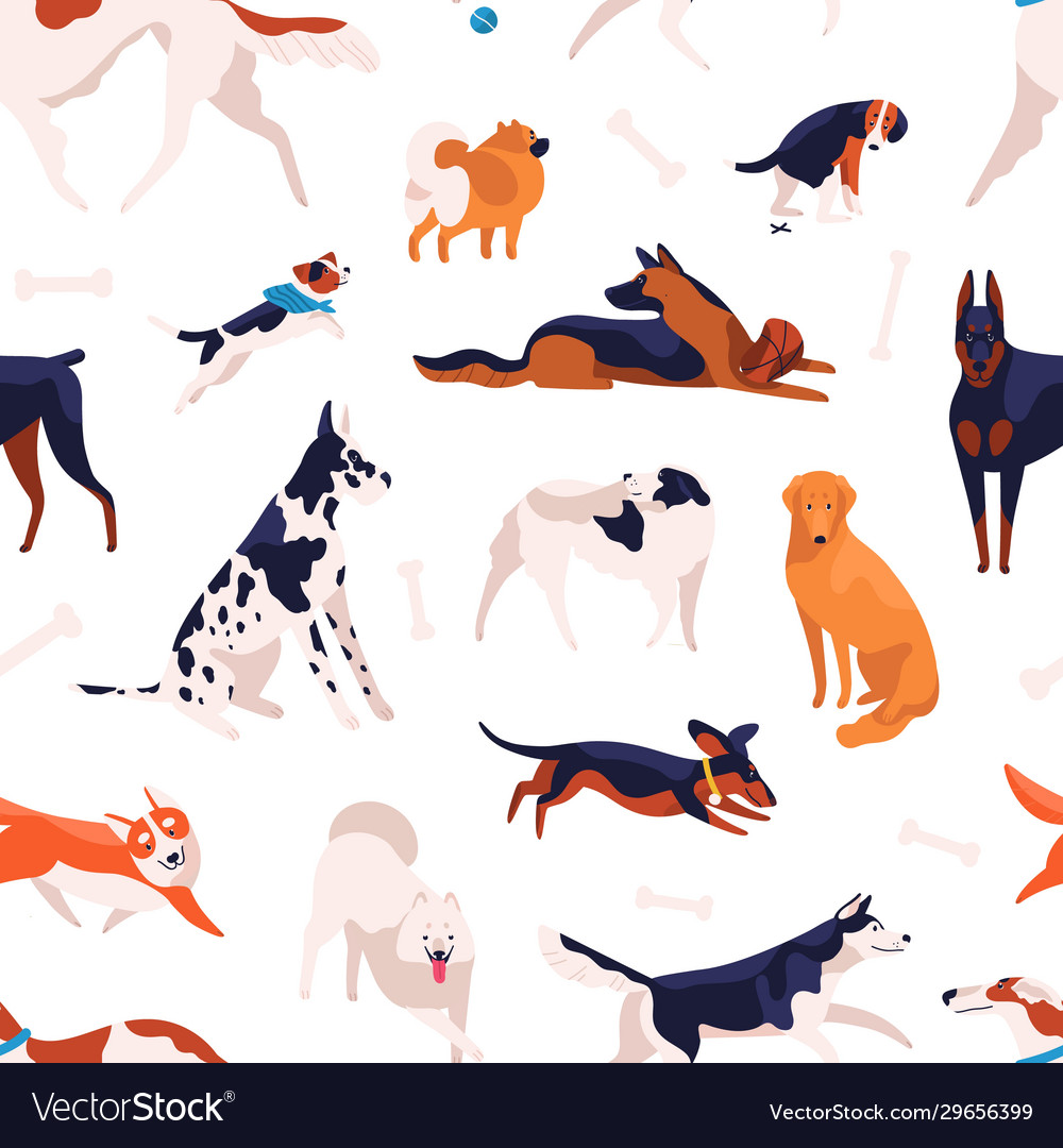 Various domestic doggy breeds seamless pattern