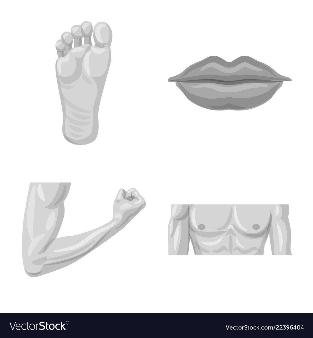 Isolated object of human and part symbol set vector image Isolated object of human and part symbol set