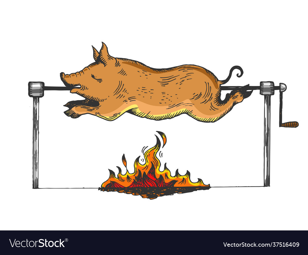 Piggy on spit engraving vector image Piggy on spit engraving