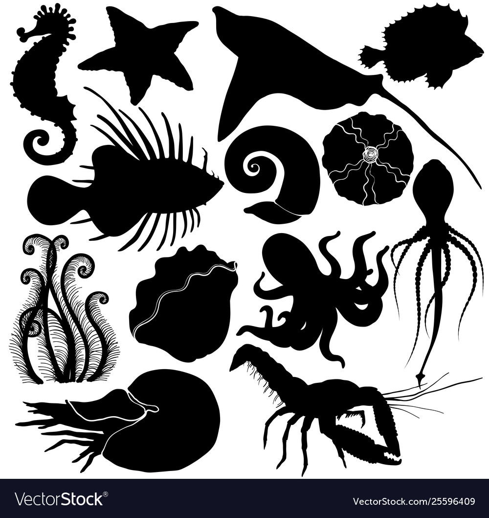 Silhouette set with marine life organisms Vector Image