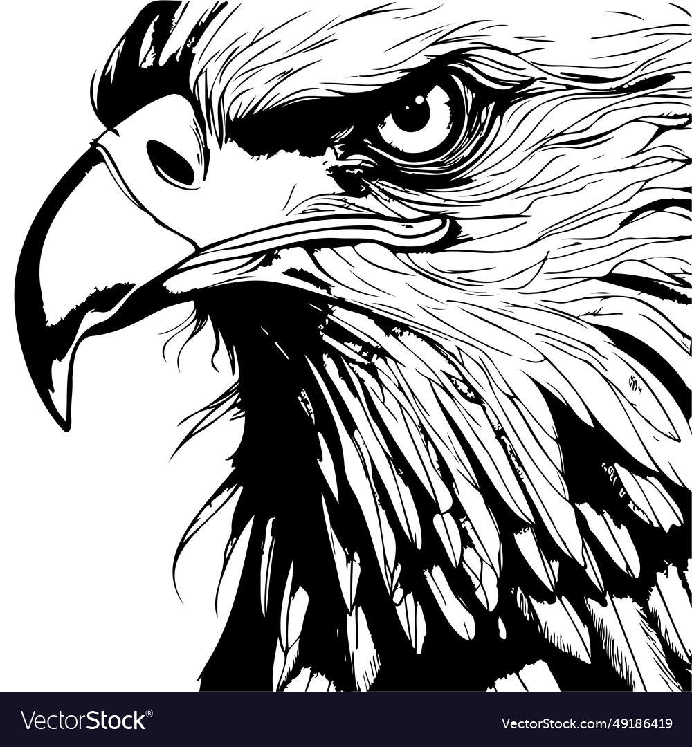 Hand sketch eagle head