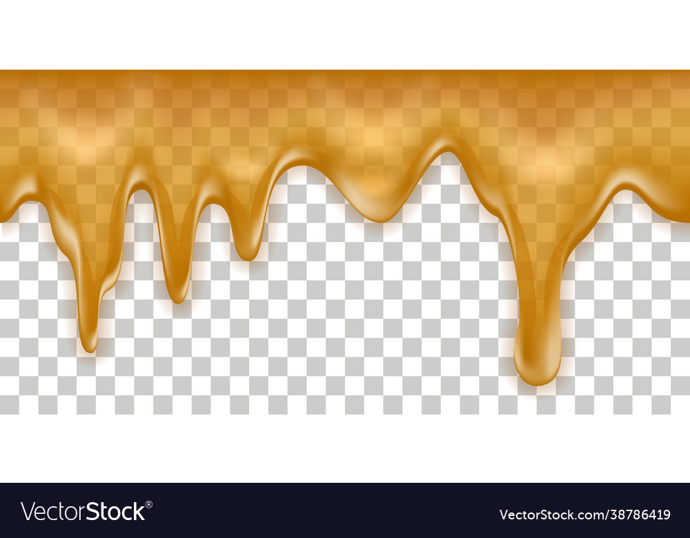 Honey drip splash flowing syrup melt orange Vector Image