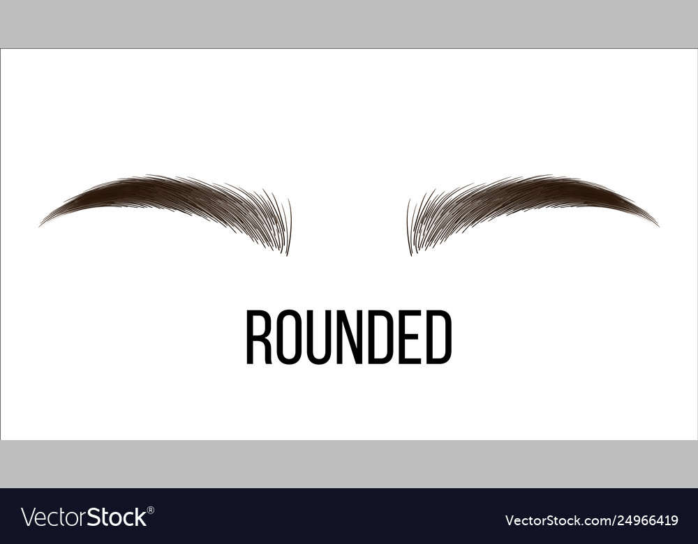 Medium Rounded Brow Shape